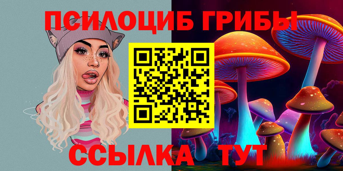 Псилоцибиновые грибы Psilocybine cubensis Бийск