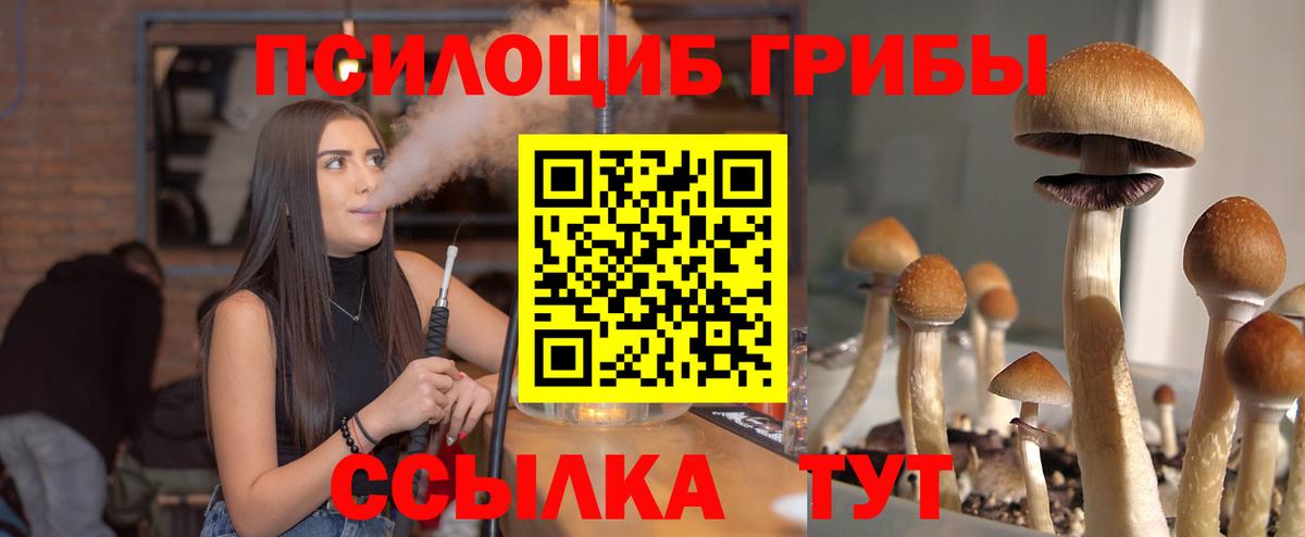 Галлюциногенные грибы Magic Shrooms  Вход с VPN  Бийск 