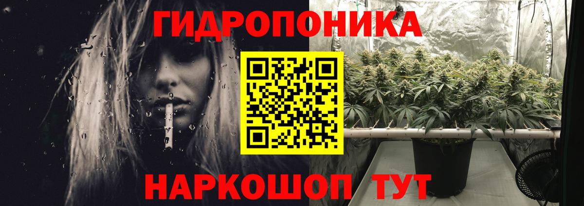 Канабис план Бийск